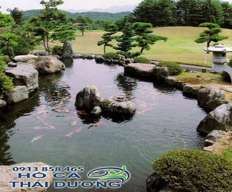 Thiết kế hồ cá koi ngoài trời, hồ cá koi mini, trên sân thượng