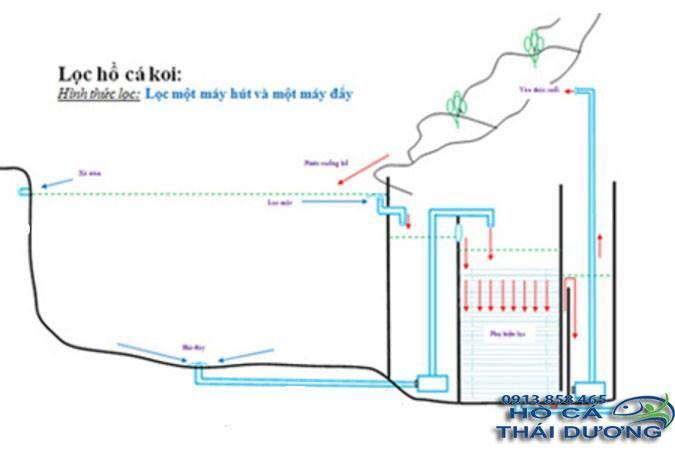 hệ thống lọc hồ cá koi