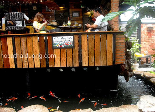 nhung-quan-cafe-co-ho-ca-koi-dep-o-sai-gon