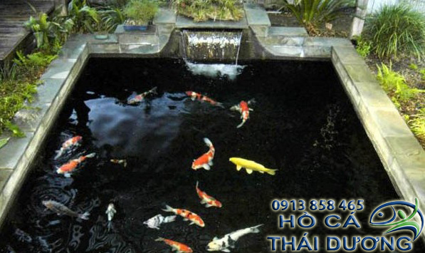 Thiết kế hồ cá koi ngoài trời, hồ cá koi mini, trên sân thượng