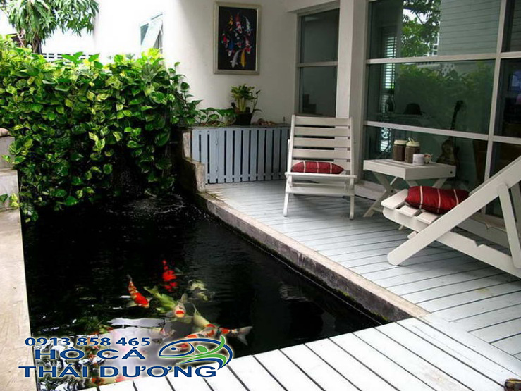 Thiết kế hồ cá koi ngoài trời, hồ cá koi mini, trên sân thượng