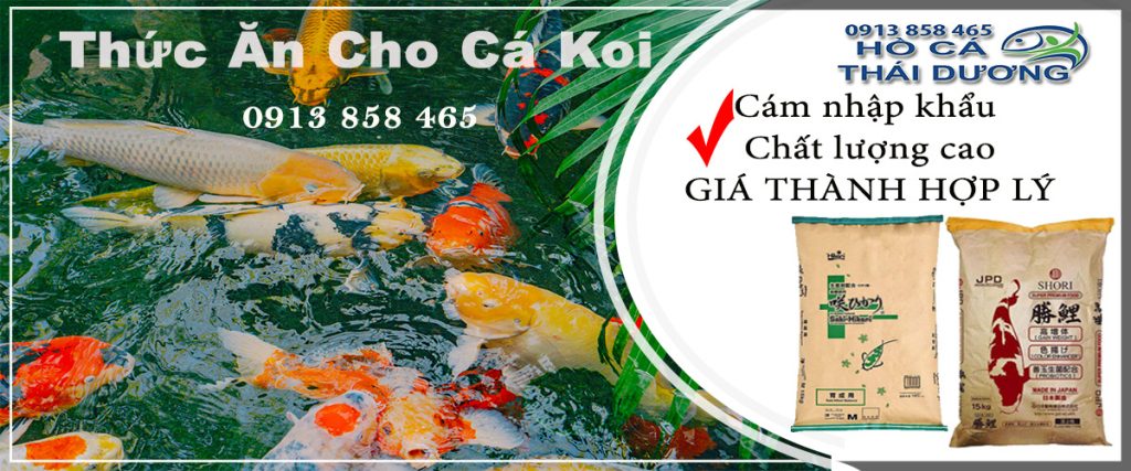 thuc-an-cho-ca-koi-nhat-ban