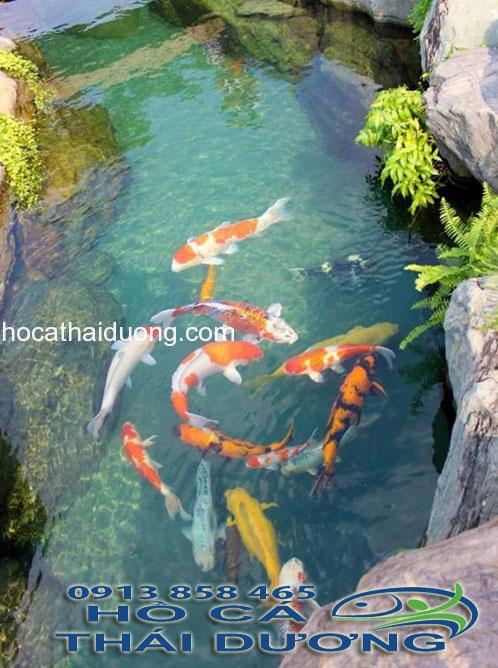 ho-ca-koi
