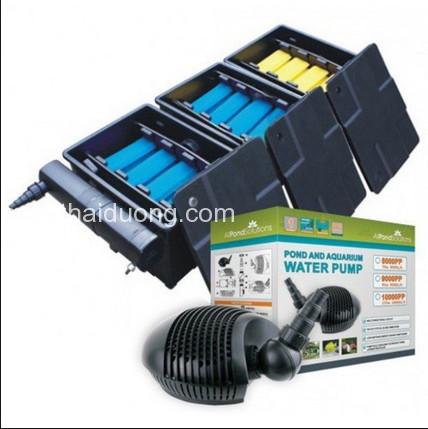 ve-sinh-loc-ho-ca-koi