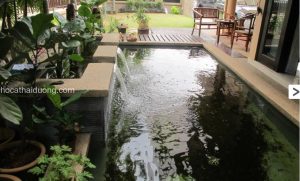 y-tuong-ho-ca-koi-nhat-dep-trong-nha-6