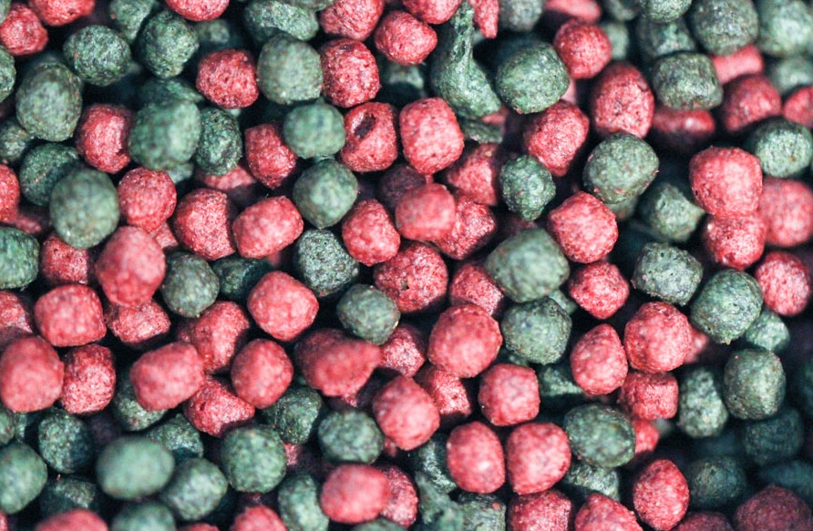 Có rất nhiều loại thức ăn cho cá koi mỗi loại có 1 tác dụng khác nhau