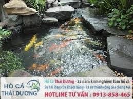 hồ cá koi trên sân thượng