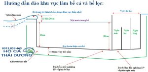 Sơ đồ lọc nước hồ cá koi