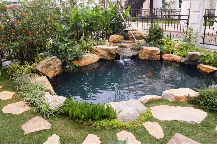Hồ cá koi