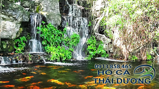 cai-tao-loc-ho-ca-koi