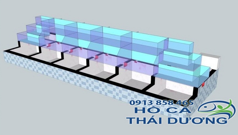 thiết kế hồ hải sản