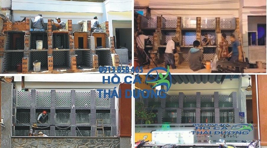 thiết kế hồ hải sản