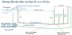 lọc hồ cá koi