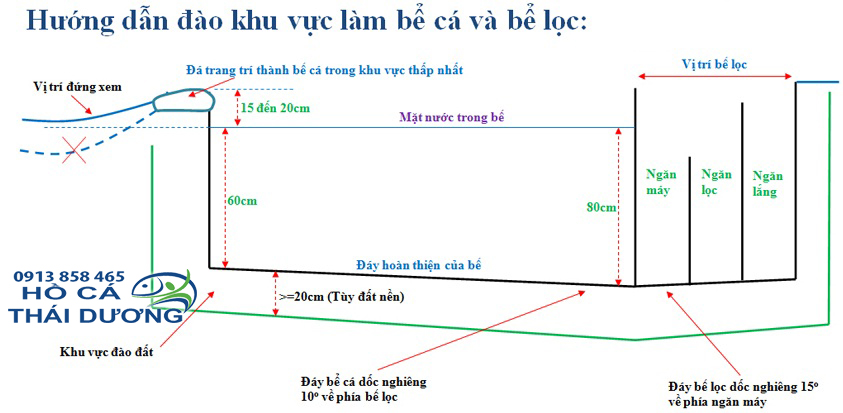 lọc hồ cá koi