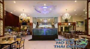 thiết kế hồ hải sản tại quận 1