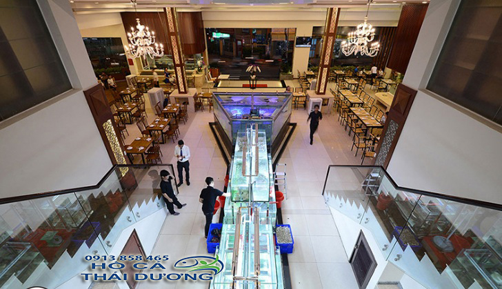 thiết kế hồ hải sản tại quận 1