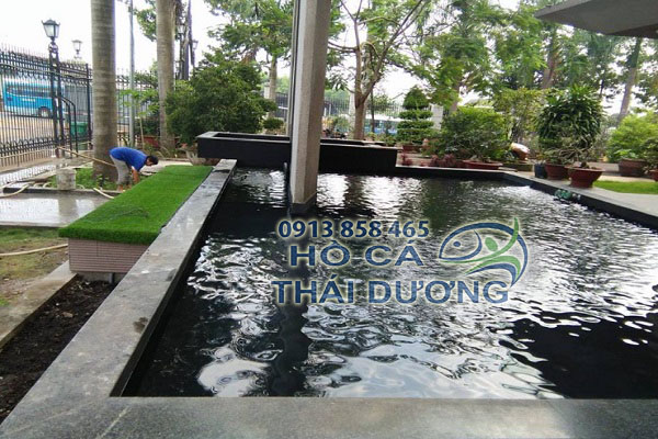 Hồ cá koi sau khi cải tạo