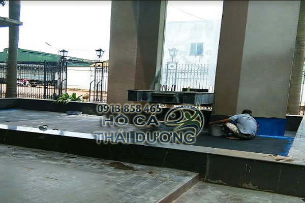 Trang trí lại hồ cá sau khi cải tạo