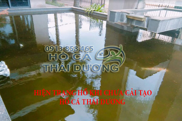 Hiện trạng hồ trước khi hồ cá Thái Dương cải tạo