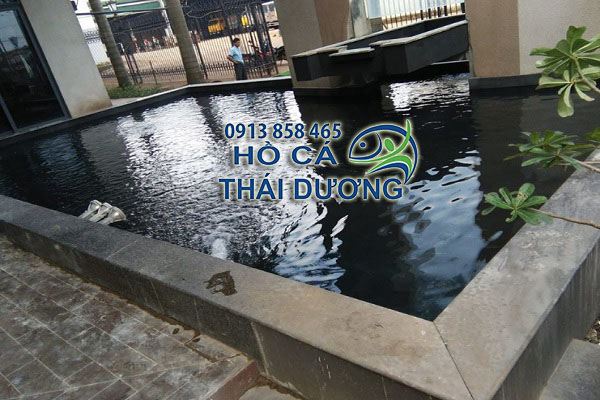 Hồ cá koi ngoài trời sau khi Thái Dương cải tạo