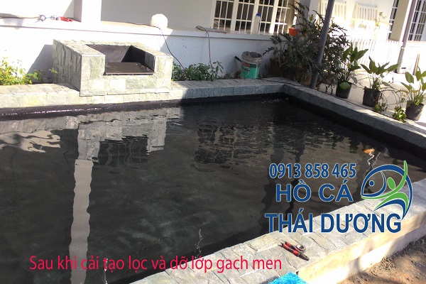 Hiện trạng sau khi công ty cải tạo hồ cá koi